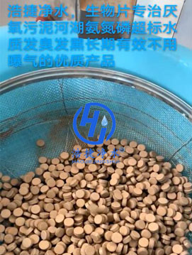 �ƽ݃�ˮ��������Ƭ���΅�������Ӻ������׳���(bi��o)ˮ�|(zh��)�l(f��)���l(f��)���L����Ч�����ؚ�