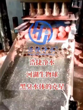 �ƽ݃�ˮ�Ӻ������������l(f��)�ڰl(f��)��ˮ�w����ҊЧ